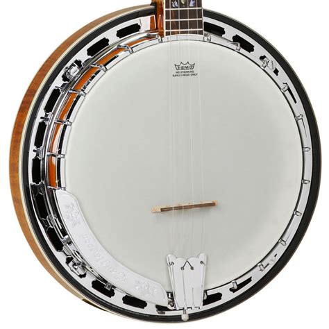 Tanglewood Twb Usa4 4 String Tenor Banjo At