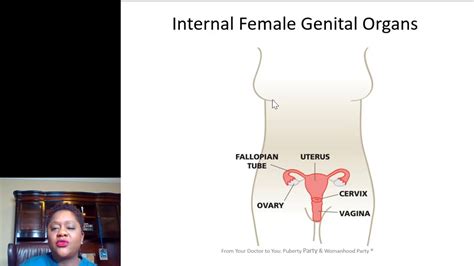 Fydty 5 Minute Masterclass Female Anatomy Part 1 Vagina And Internal