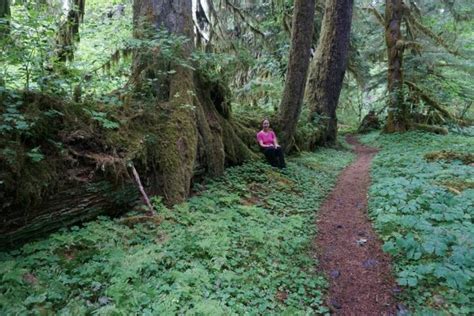 Hiking The Hoh Rainforest Camping For Women