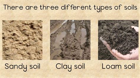 Soil Different Types And The Importance Of Soil Youtube