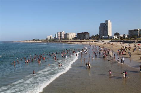 10 Awesome Things To Do In Port Elizabeth Mytefl
