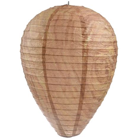 Worker wasps are known to carry food back to their nest. 2Pcs No More Wasp Repellent Deterrent Pest Yellowjackets ...