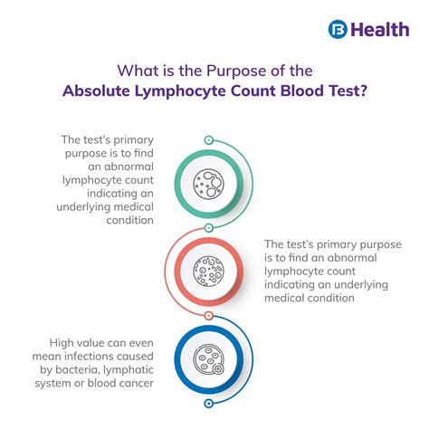 Absolute Lymphocyte Count Test Normal Range Purpose Preparation