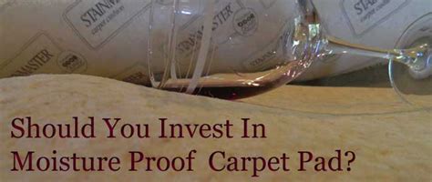 What makes it so stain resistant and so cleanable? Pet Proof Carpet Pad | Carter's Carpet Restoration