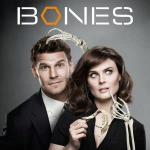 The show is a forensics and police procedural in which each episode focuses on an fbi case file concerning the mystery. Bones (TV series) - Theme Song Download | InstrumentalFx