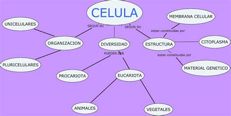 Mapas Mentales Mapa Conceptual De La Celula Eucariota Realiza Un Mapa