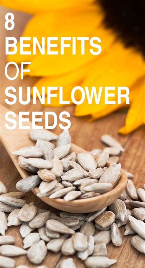 8 Amazing Benefits And Uses Of Sunflower Seeds Sunflower Seeds