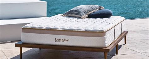 The following companies are our partners in mattresses: 11 Organic Latex Mattress Brands That Promise You Sweet Dreams