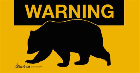 Bear Warning In Effect For K Country News