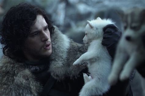 170 Game Of Thrones Dog Names