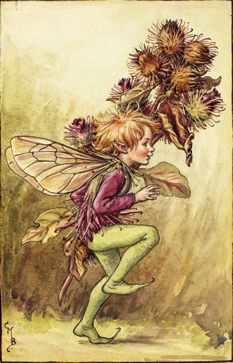 The Burdock Fairy Flower Fairies