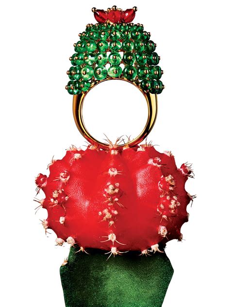 Faça sua escolha entre diversas cenas semelhantes. You Can Now Wear Your Succulents on Your Fingers | Jewelry ...