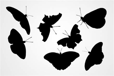 Vector Butterfly Silhouettes Free Eps Uidownload