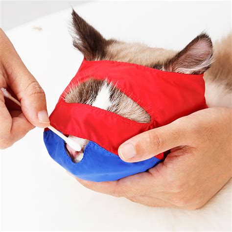 Museliere pour chien de forme panier «service policier». marque generique - muselière chien petit chien chiot chat ...