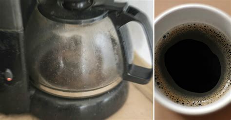 Read on to find out what makes each of these coffee makers so awesome, beyond being mold free! Your coffee maker could be harboring mold and germs - 5 ...