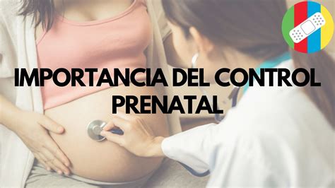 Importancia Del Control Prenatal Youtube