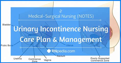 Urinary Incontinence Nursing Care Plan And Management Rnpedia