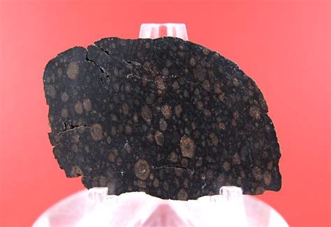 Rare And Beautiful Carbonaceous Chondrite Stone Meteorite Cv3 Full