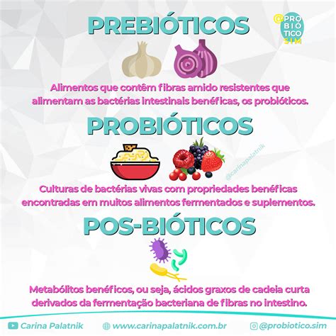 Os Prebióticos São Responsáveis Por Alimentar Os Probióticos E Ajudar