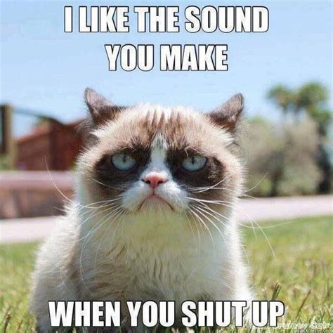 Thank You Carol For This One Grumpy Cat Humor Grumpy Cat Quotes