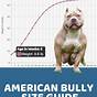 Xl American Bully Growth Chart