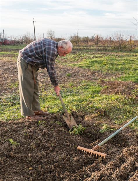 Contadino Che Lavora Con Un Rastrello Nel Giardino Fotografia Stock