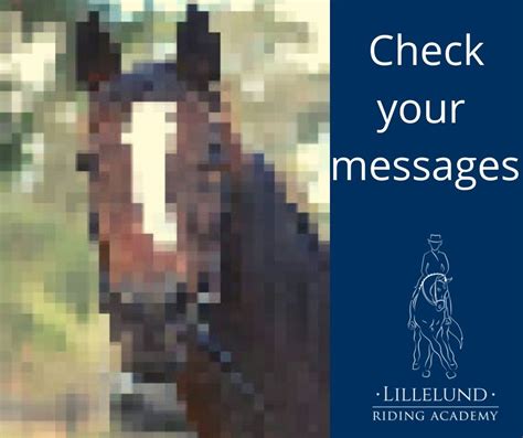 want to see who it is lillelund riding academy facebook
