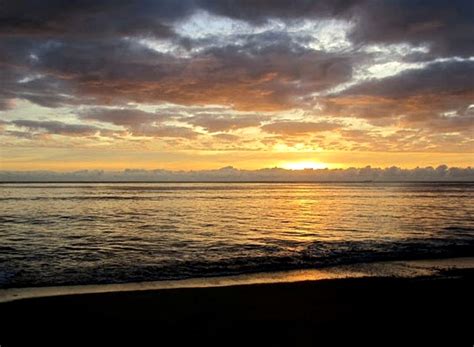 Treat yourself to one of the top cabins in queensland. Glamping Cabins in Queensland | Glamping Hub