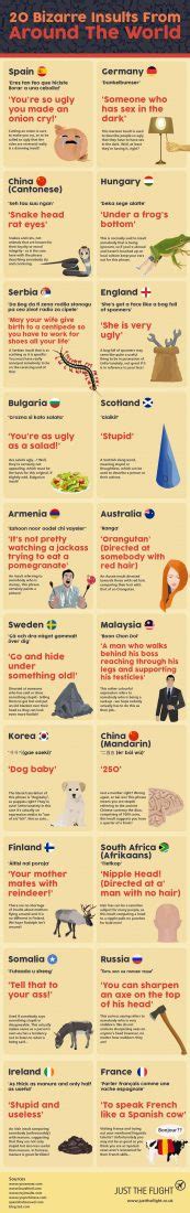 Around The World In 20 Insults Daily Infographic