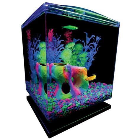 Best Glofish Tanks Reviews 5 10 15 20 Gallon Aquariumtanks