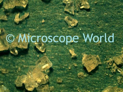 Microscope World Blog Sugar Crystals Under The Microscope