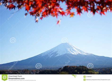 Mountain Fuji With Maple Tree In Japanese Stock Image Image Of Tree