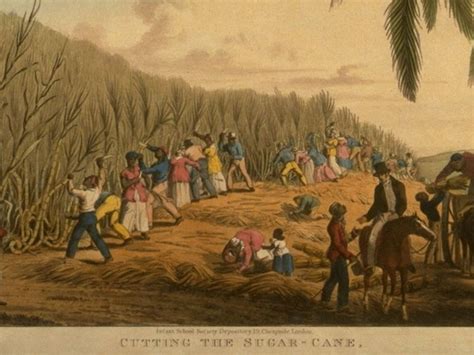 Describe Slavery In West Africa In The 1500s Zaydenkruwwiggins