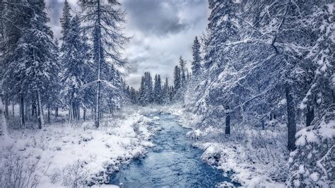 Fonds d ecran x Forêts Hiver Canada Québec Ruisseau Arbres Nature télécharger photo