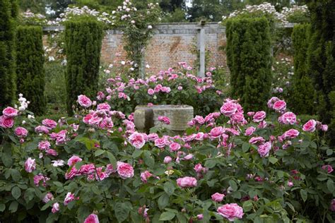Ideas To Steal 10 Ways English Gardens Borrow From France Gardenista