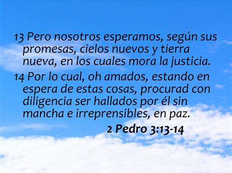 2020 Mora Y Los Metegoles En El Mundo De Los Cielos