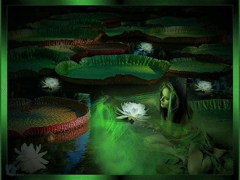 A Green Dream Fantasy Art Dream Digitaal Hd Wallpaper Pxfuel