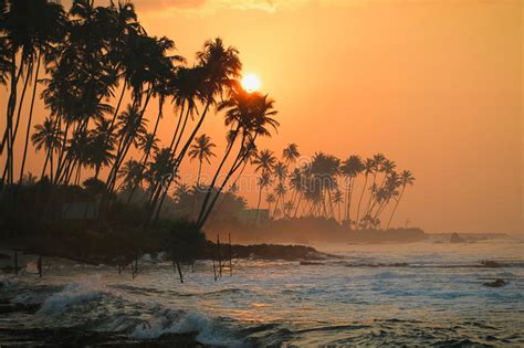Stel je individuele rondreis sri lanka samen met de reisspecialisten van riksja sri lanka. Sonnenuntergang Koggala-Strand, Sri Lanka Stockfoto - Bild ...