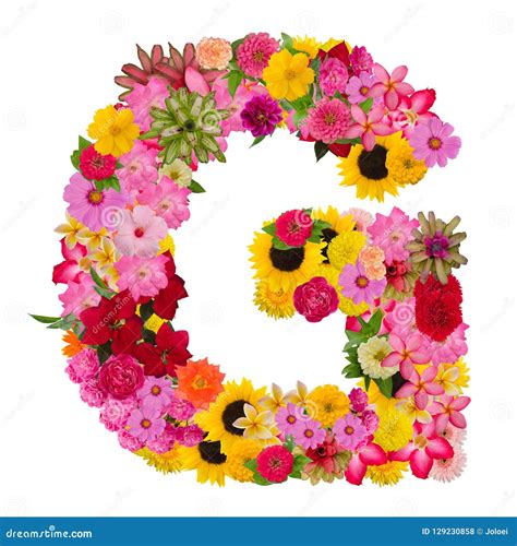 Letter G Alphabet With Flower Abc Concept Type As Logo Isolated Stock