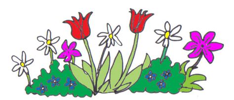 Cartoon Flower Pictures Beautiful Flowers
