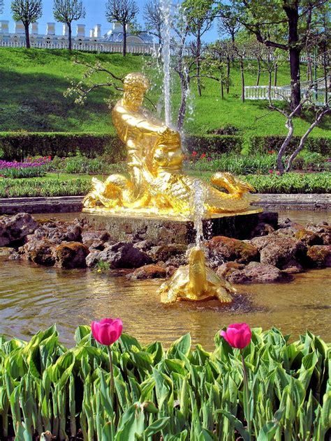 Triton Fountain At Peterhof Palace Near Saint Petersburg Russia Encircle Photos