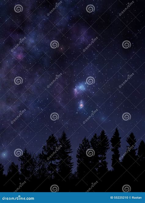 Starry Night Sky Over The Forest Stock Photo Image Of Mysterious