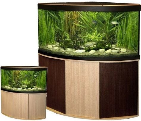 Beautiful corner set up aquarium fish tank | Fish tank ... This will be a two part series on how to repair hex tanks/ corner tanks.