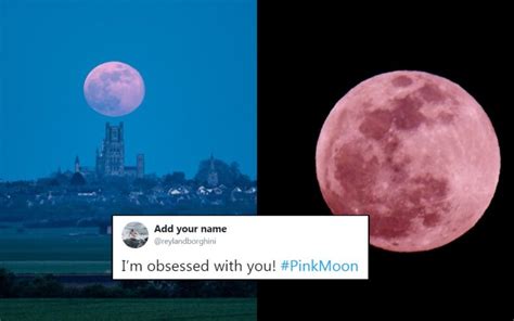 People Share Beautiful Pictures Of The Pink Moon 2019