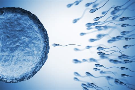 Donor Insemination Fertility Centers Of New England