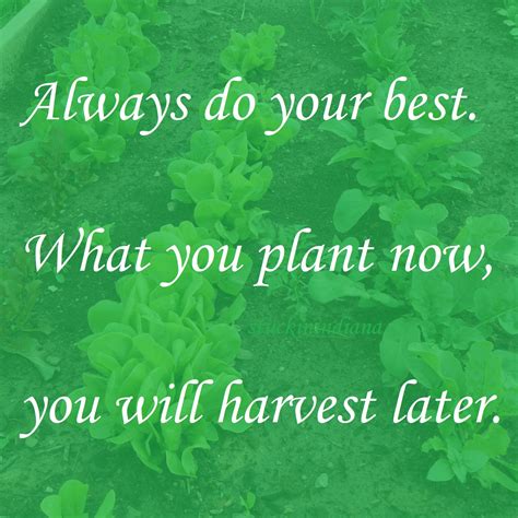 Always Do Your Best What You Plant Now You Will Harvest Later Do