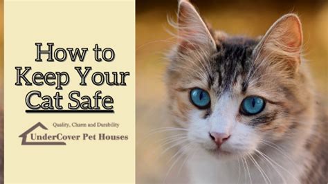 4 Tips To Keep Your Cat Safe During The Holidays Undercover Pet Houses