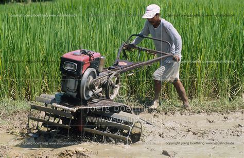Philippines Rice Farming Plowing Of Field With Power Tiller Joerg