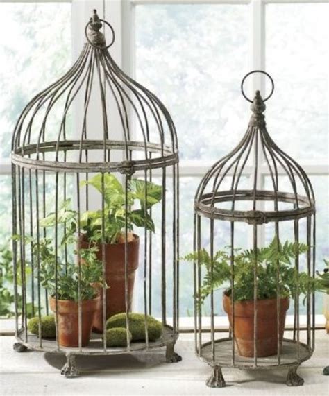 Using Bird Cages For Decor 46 Beautiful Ideas Digsdigs Bird Cage