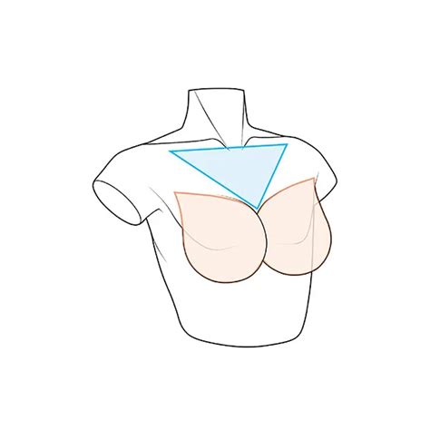 Top 172 How To Draw Anime Breasts